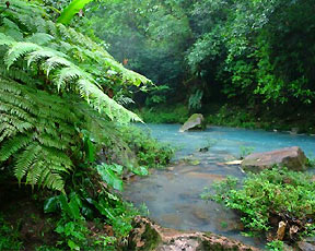 Guanacaste-National-Park.jpg